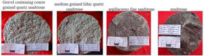 Geochemical characteristics of the braided river reservoir in block 19 of the sulige gas field